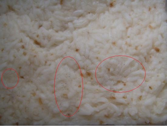 fermented rice with tiny black or green hair-like mold
