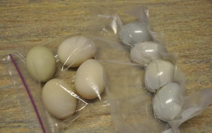 The nonvacuum-packed eggs and the vacuum-packed eggs