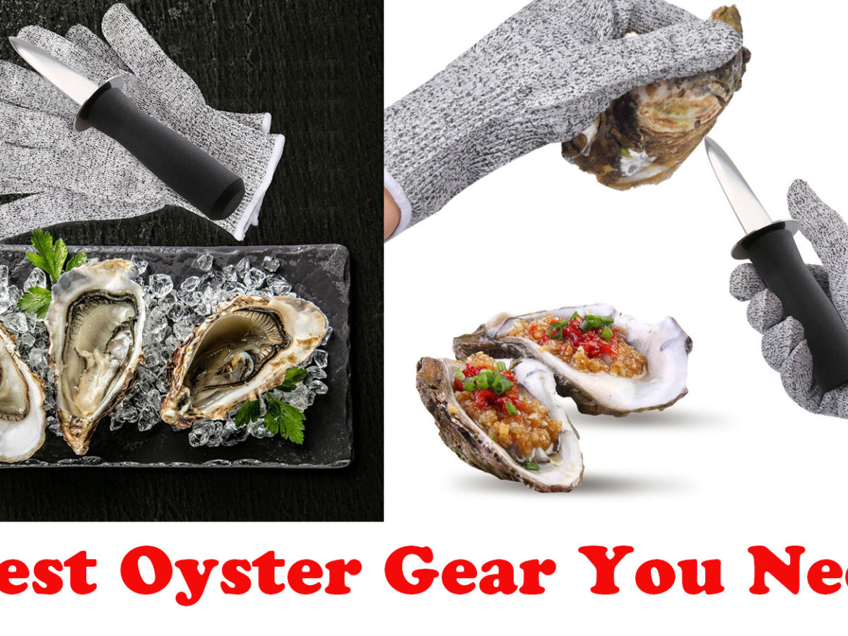 Best Oyster Gear You Should Own