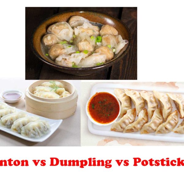 Wonton vs Dumpling vs Potstickers