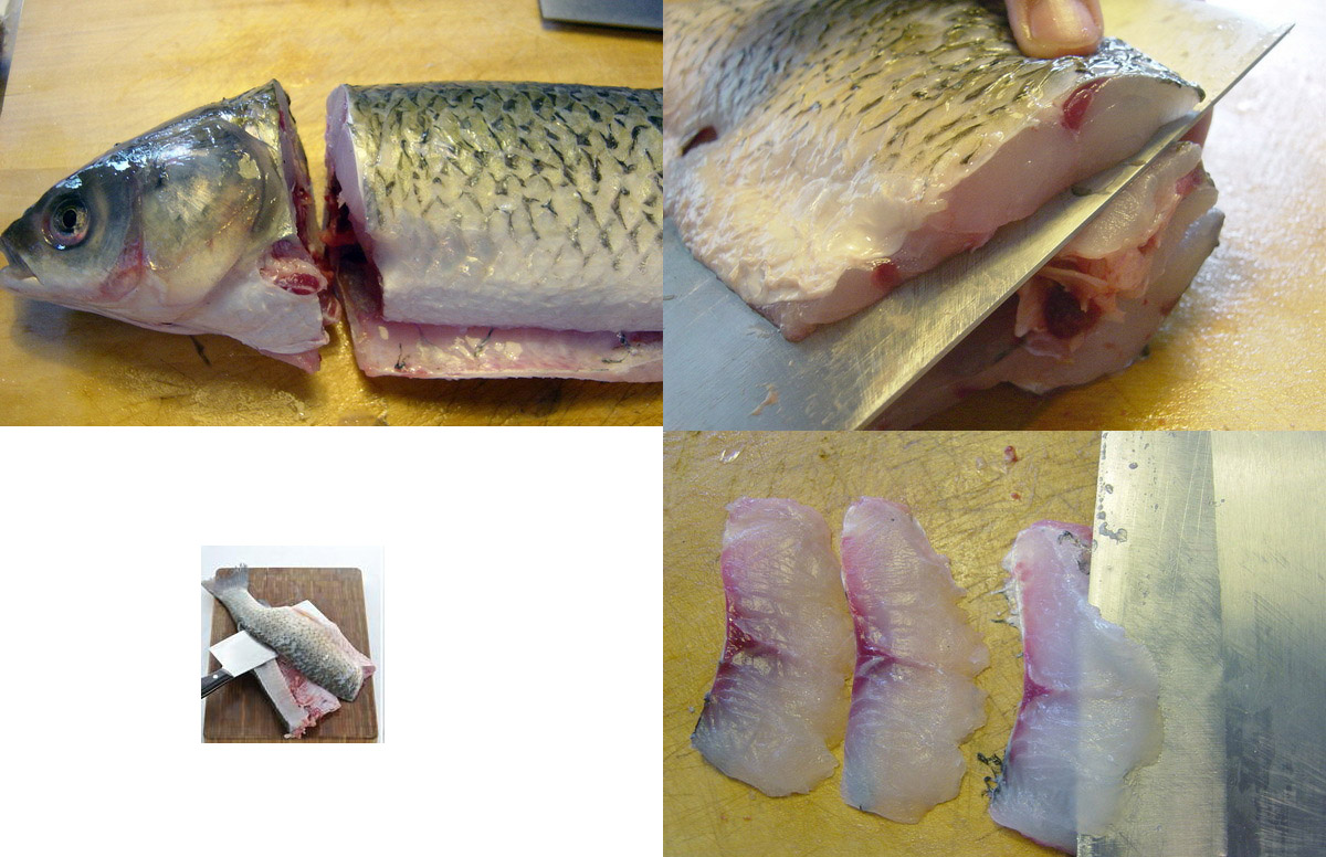 how to fillet a fish
