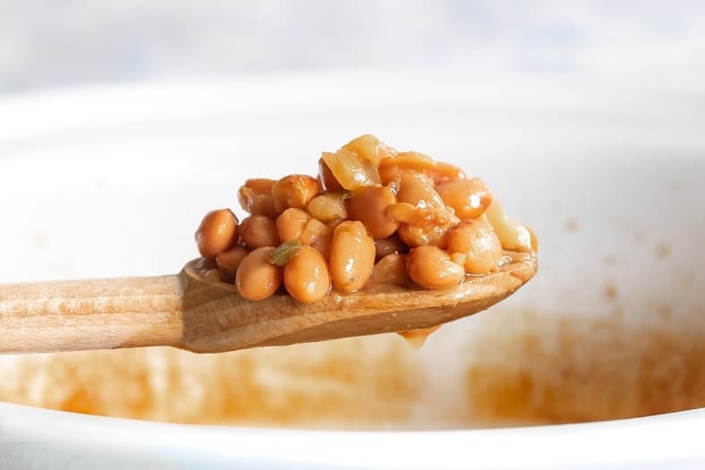 Crockpot pinto beans