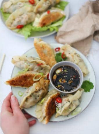 Vegan Chinese style dumplings