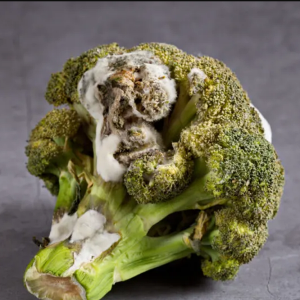 3 Tips To Tell If Broccoli is Bad