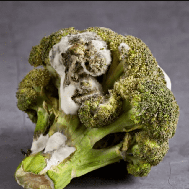 mold grow on broccolis stem