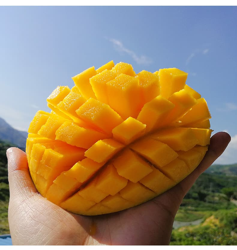 Fascell mango