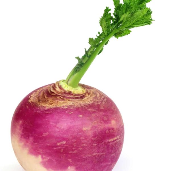Rutabaga Vs Turnip Vs Radishes – What Are Their Differences