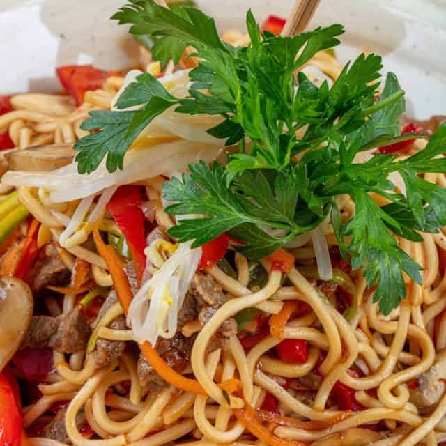 Hakka Noodles one of the popular Indo Chinese recipes