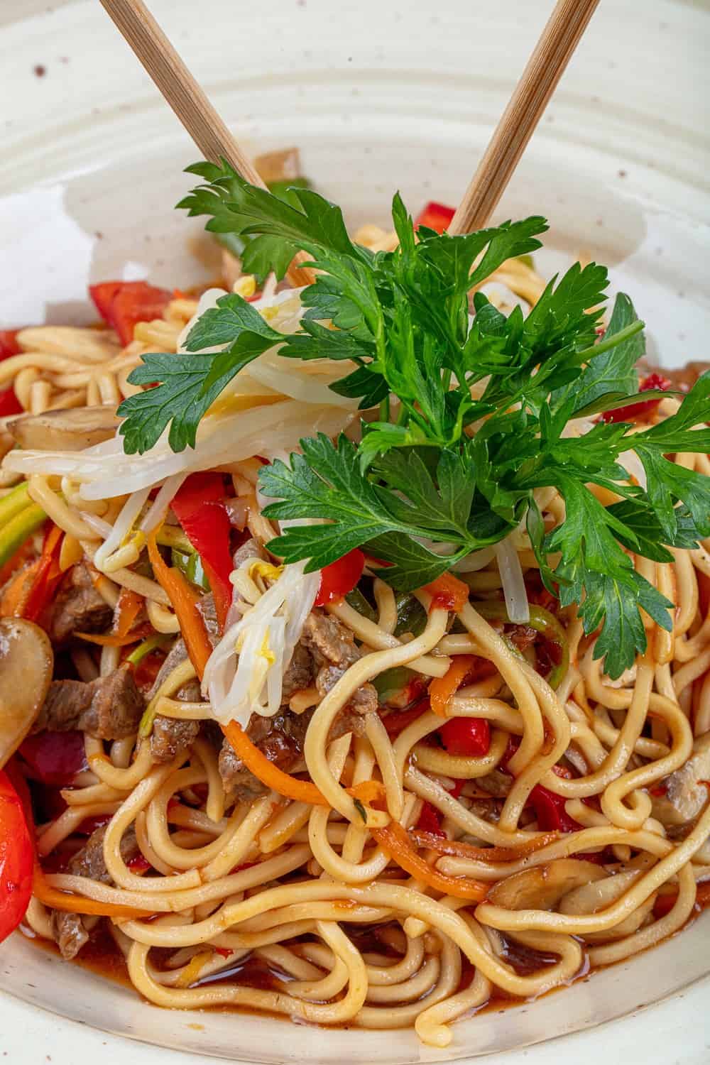 Hakka Noodles one of the popular Indo Chinese recipes